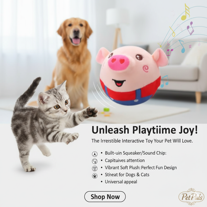 Dancing Piggy Ball Toy